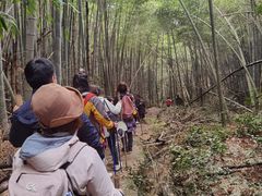 -会稽山峡洞漂流-上青古道