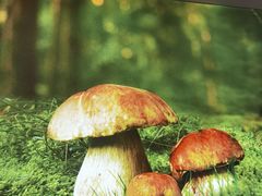 -椒王火锅(厚街万达店)