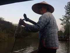 iphone_upload_pic-溱湖国家湿地公园