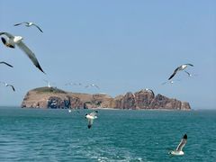-海驴岛(荣成市)