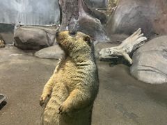 -苏州海洋馆