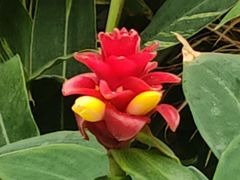 -北京植物园-展览温室