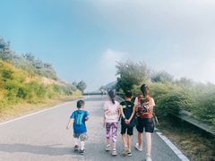 -阳台山自然风景区