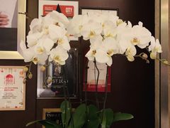 -一品淮扬 · 淮扬菜·北京万达文华酒店