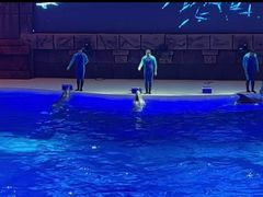 -哈尔滨波塞冬海底世界