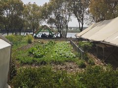 -动邦皮划艇·桨板·独木舟·团建户外运动俱乐部