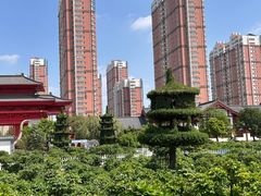 -曹州百花园