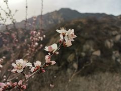 -北京凤凰岭