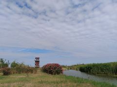 -春花秋色城市公园