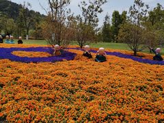 -狼山风景名胜区