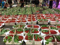 -菜园坝水果市场