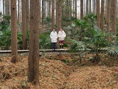 -上海怡沁园度假酒店