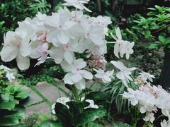 -谷咖啡·鲜花绿植花园餐厅