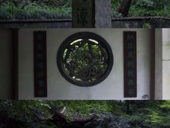 -虎跑公园