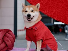 -OCT PARK欢乐时光