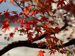 -张家港凤凰山景区恬庄古街