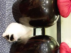 -大漠烤肉(酒泉路店)