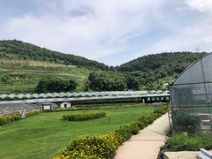 -普迪生态园