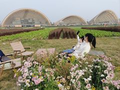 -中国天府农业博览园