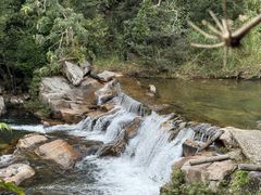-海南热带雨林国家公园吊罗山景区