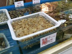 水产区-天津乾毓德饭庄·清真传统炒菜·海鲜烧烤(咸阳路店)