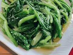 -麻奢鸽农庄·梦里水乡