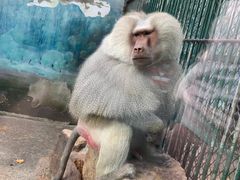 -无锡动物园·太湖欢乐园