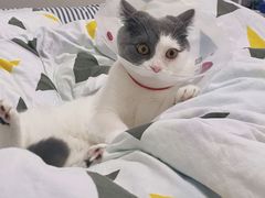 -美迦爱-牙专科·兔科·骨科诊疗中心(北苑店)