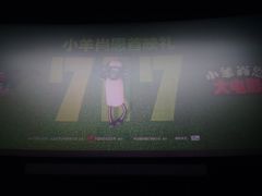 -AMG海上明珠影城(上海环球港RealDCinema店)