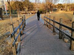 -石榴庄公园