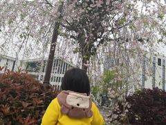 -湘湖金融镇
