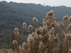 -南北湖风景区