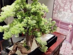 -顺峰(农展馆店)
