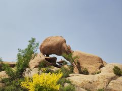 -天涯山