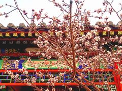 -老城味道·传统天津菜(杨柳青店)