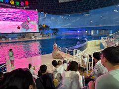 -泉城欧乐堡海洋极地世界