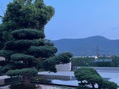 -树山生态村