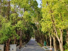 -同里国家湿地公园
