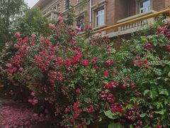 -天津五大道文化旅游区