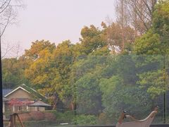 -J Create城市露营咖啡·简餐·宠物(上海动物园店)