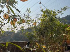 -伴山茶苑·围炉煮茶