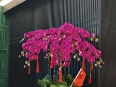 -绿波廊(豫园店)