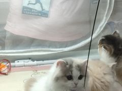 -国际非物质文化遗产博览园