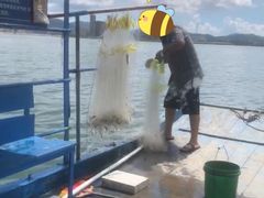 -盐洲岛