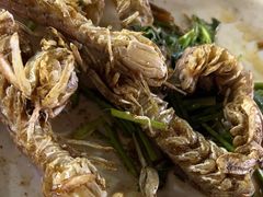 椒盐皮皮虾-日照大牌檔•小船海鲜(万平口店)