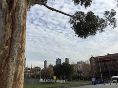 iphone_upload_pic-墨尔本博物馆(Melbourne Museum)