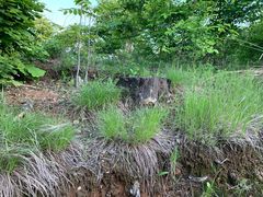 -沈阳辉山风景区