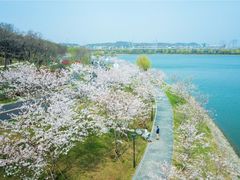 -羊山湖公园