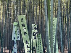 -同里国家湿地公园