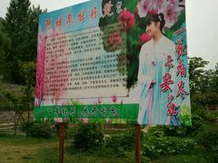 -盛世牡丹苑生态文化旅游区